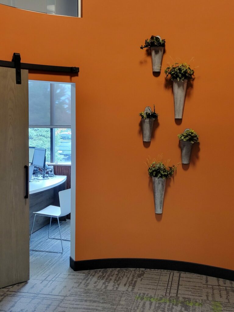 91C222BB-B47E-47C5-918F-31739C5DB637